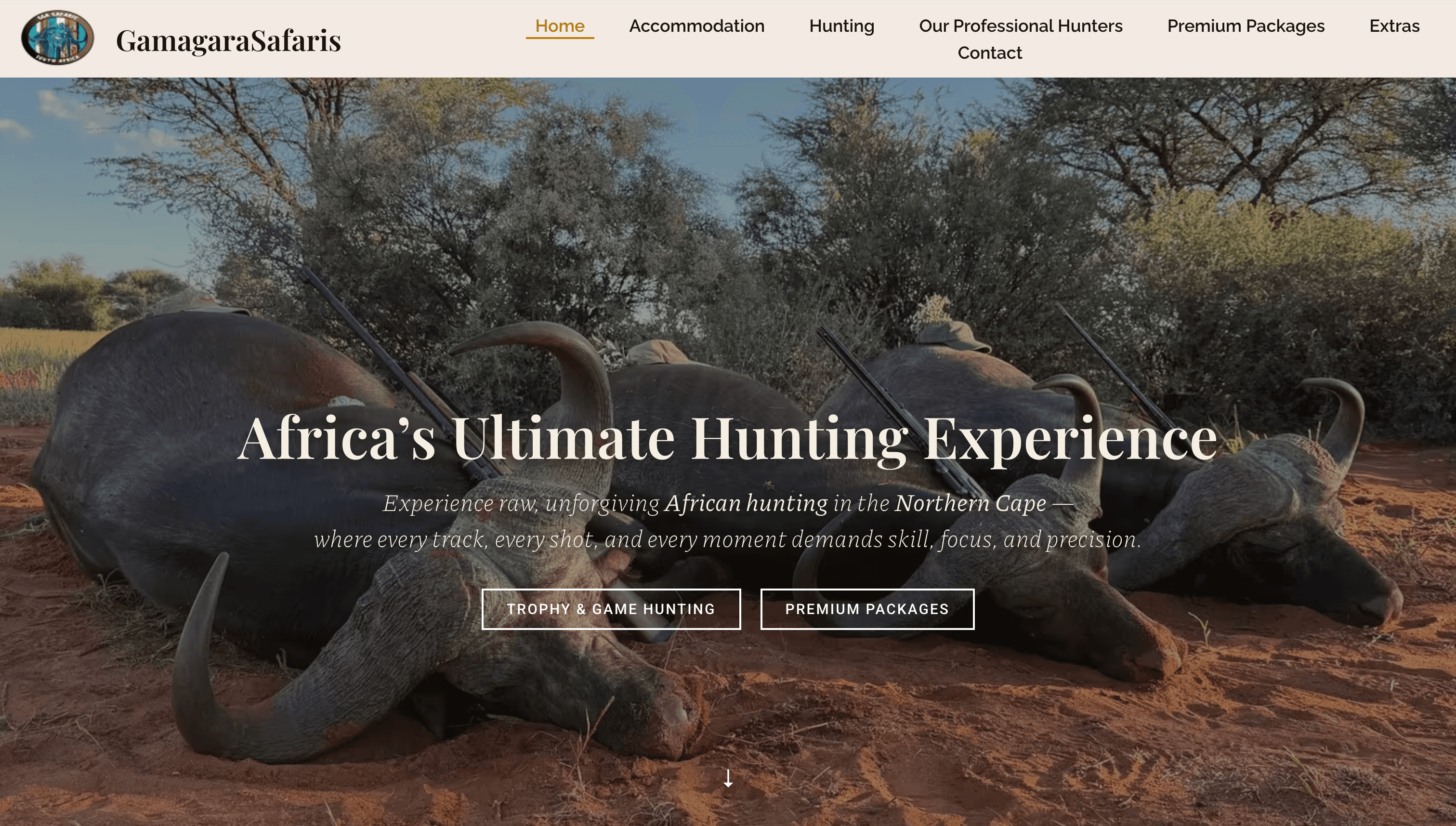 Website Design